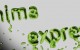 mínima expresión - verde mínima expresión - verde